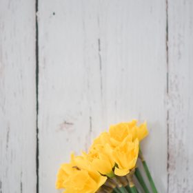 fleur jaune printemps table de bois